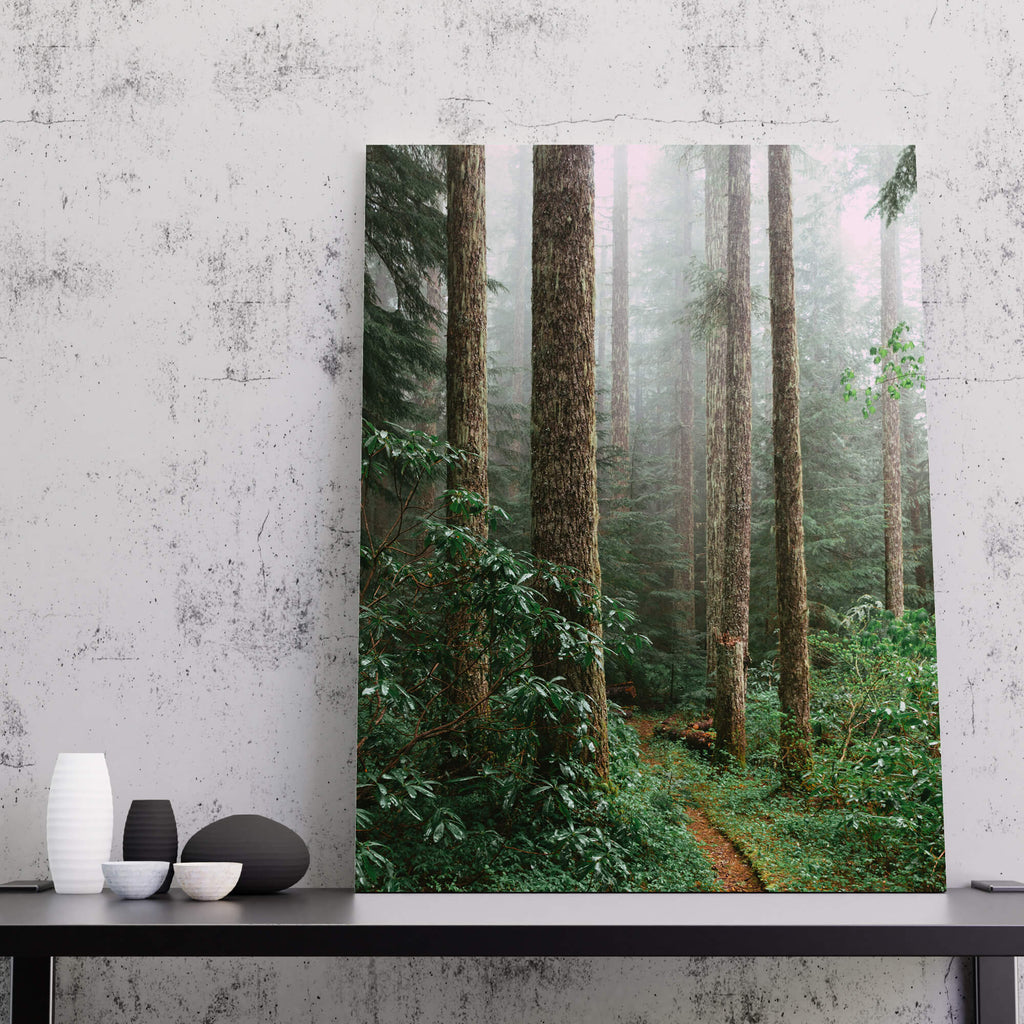 Forest Canvas Print | Canvas wall art, Forest Print, Forest Wall Art, Forest Art Print, Tree Print, Tree Canvas, Tree Canvas Wall Art, Fog