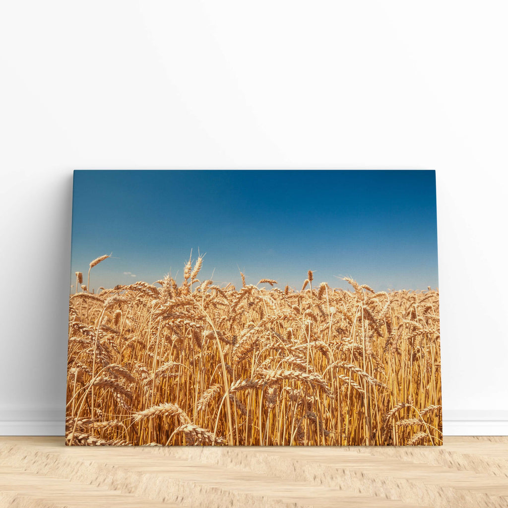 Prairie prints | Photo canvas print, Wheat field print, Canadian prints, Farm prints, Wheat field art print, Wheat field wall art, Prairies