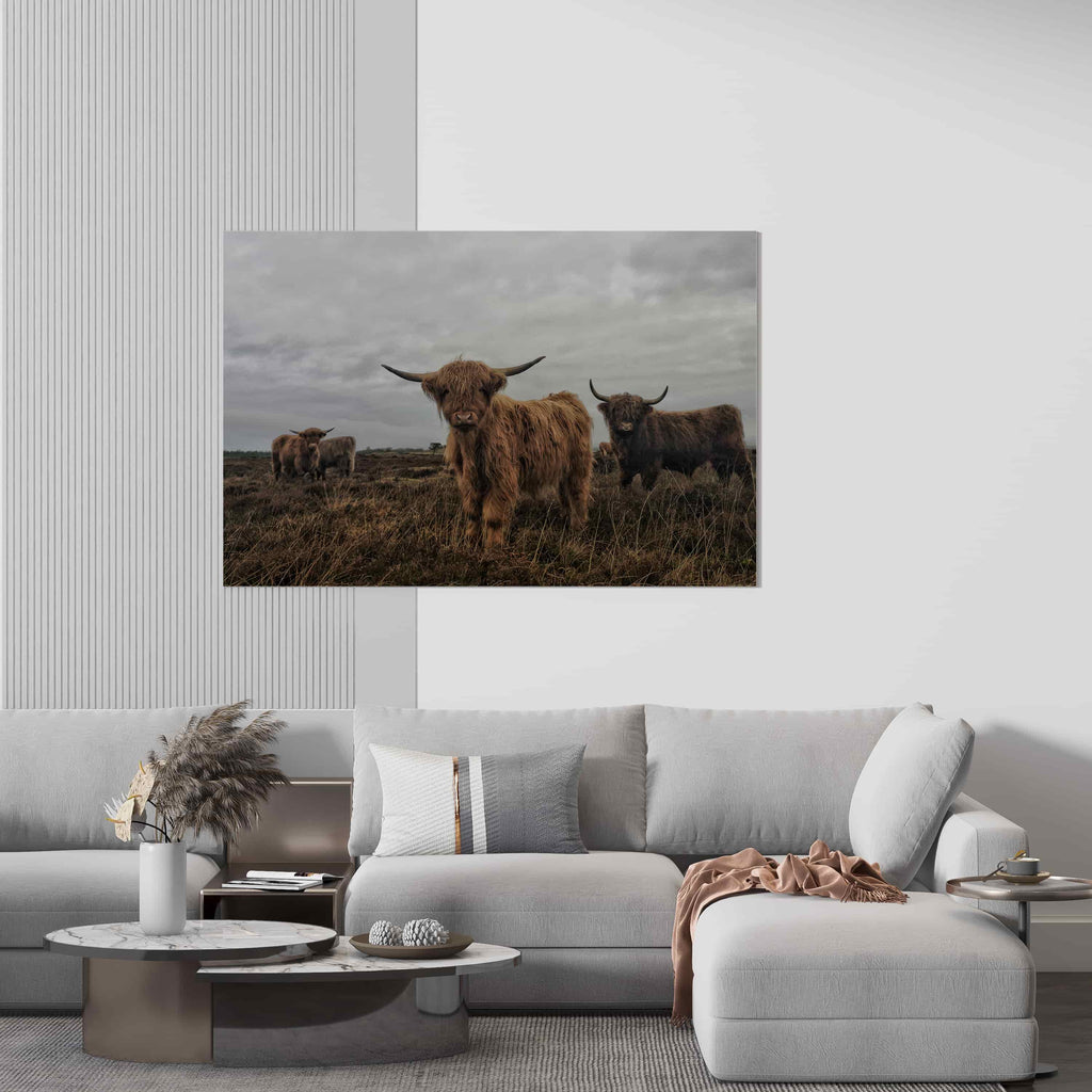 Highland Cows Canvas Wall Art Print | Canvas wall art print by Wall Nostalgia. Custom Canvas Prints, Made in Calgary, Canada | Large canvas prints, framed canvas prints, Highland Cow Canvas Art Print | Highland Cow Prints, Highland Cattle Canvas, Highland Cattle Print, Highland Cow Art Print, Highland Cow Canvas Art