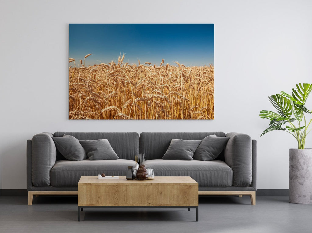 Wheat Field Print | Canvas wall art print by Wall Nostalgia. FREE SHIPPING on all orders. Custom Canvas Prints, Made in Calgary, Canada | Large canvas prints, framed canvas prints, Wheatfield Print | Wheat print, Wheat field canvas, Wheat field print, Prairie wall art, Farm prints, Farm canvas art, Prairie print canvas