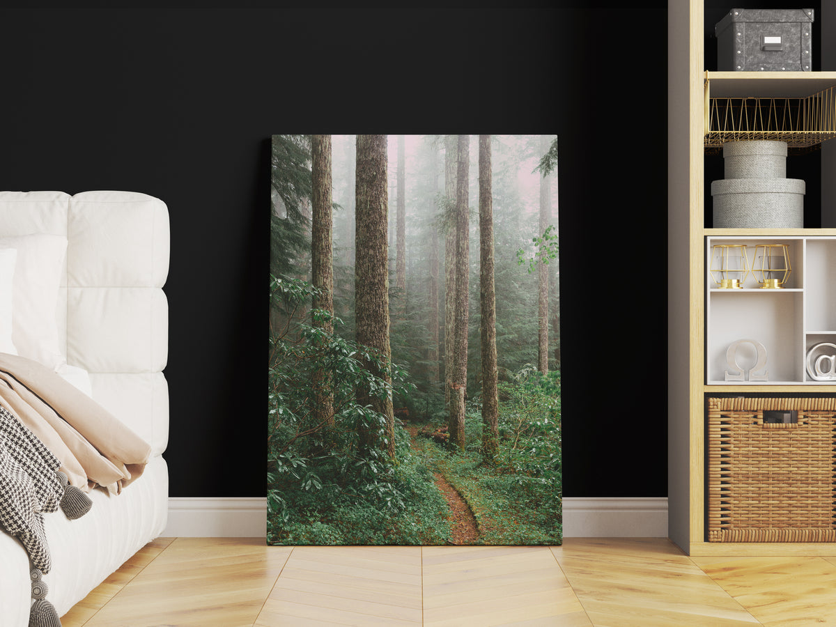 Foggy Forest Canvas Art Print Forest Print Canvas Wall Art Canada