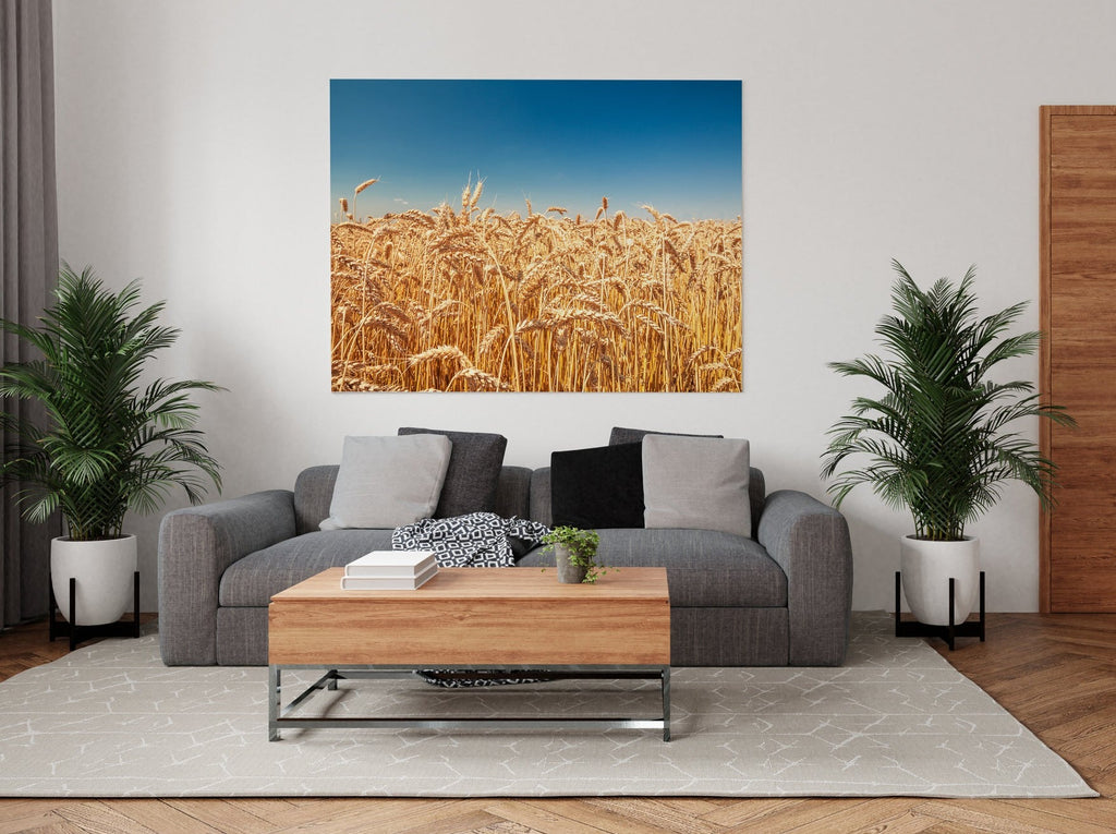Wheat Field Print | Canvas wall art print by Wall Nostalgia. FREE SHIPPING on all orders. Custom Canvas Prints, Made in Calgary, Canada | Large canvas prints, framed canvas prints, Wheatfield Print | Wheat print, Wheat field canvas, Wheat field print, Prairie wall art, Farm prints, Farm canvas art, Prairie print canvas