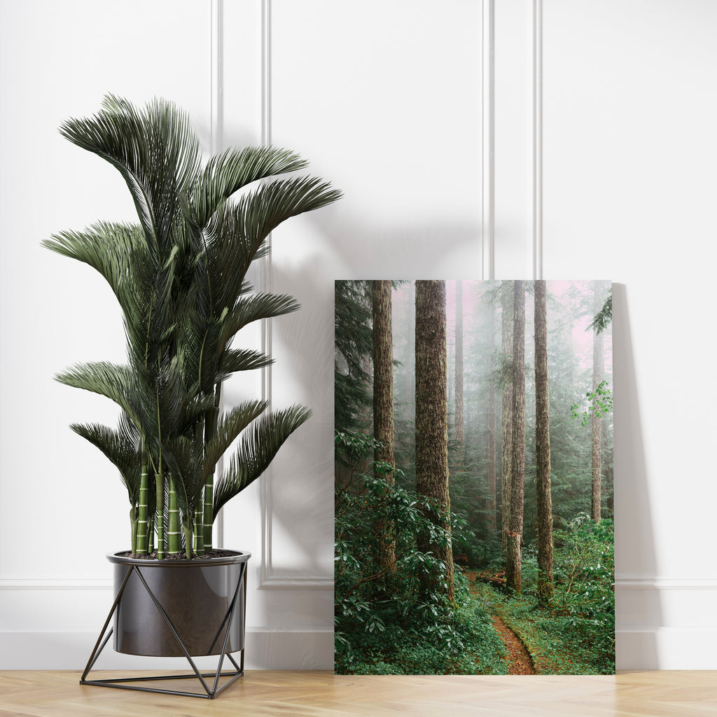 Foggy Forest Canvas Print | Canvas wall art print by Wall Nostalgia. FREE SHIPPING on all orders. Custom canvas art prints, Made in Calgary, Canada | Large canvas prints, framed canvas prints, Canvas wall art, Forest Print, Forest Wall Art, Forest Art Print, Tree Print, Tree Canvas, Tree Canvas Wall Art, Fog Forest Art