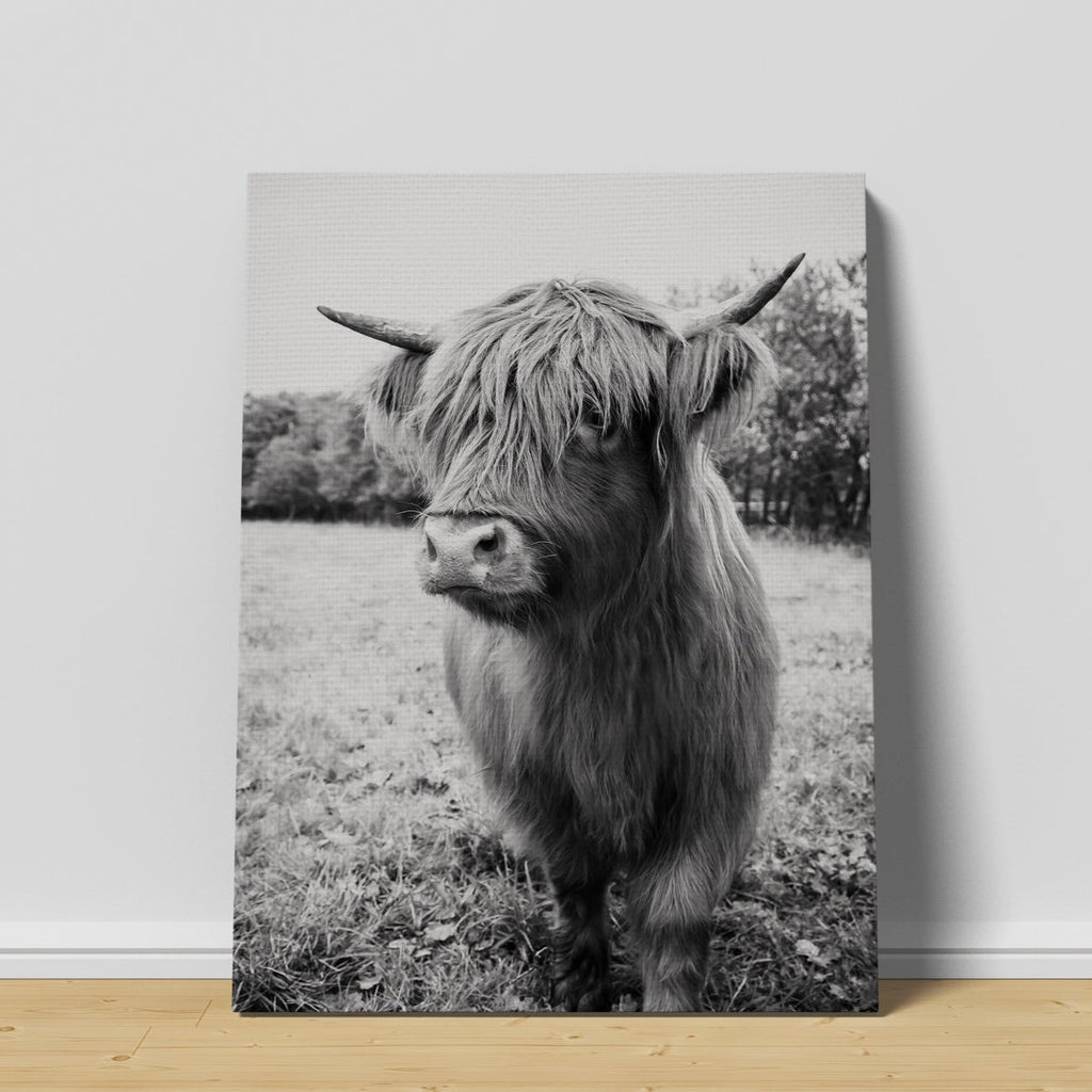 Black and White Highland Cow Canvas Wall Art Print | Canvas wall art print by Wall Nostalgia. FREE SHIPPING on all orders. Custom canvas art prints, Made in Calgary, Canada | Large canvas prints, framed canvas prints, Highland Cow Canvas, Highland Cattle Print, Highland Cattle Prints, Highland Cattle Art, Highland cow