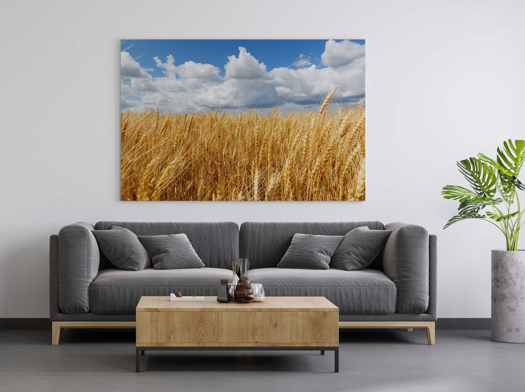 Wheat Field Art Print | Wheat Canvas wall art print by Wall Nostalgia. FREE SHIPPING on all orders. Custom Canvas Prints, Made in Calgary, Canada | Large canvas prints, framed canvas prints, Prairie prints, canvas print, Wheat field print, Canadian prints, Farm prints, Wheat field art print, Wheat field art, Prairies