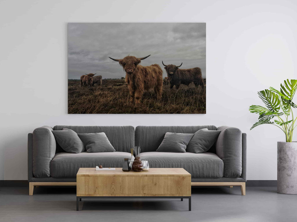 Highland Cows Canvas Wall Art Print | Canvas wall art print by Wall Nostalgia. Custom Canvas Prints, Made in Calgary, Canada | Large canvas prints, framed canvas prints, Highland Cow Canvas Art Print | Highland Cow Prints, Highland Cattle Canvas, Highland Cattle Print, Highland Cow Art Print, Highland Cow Canvas Art