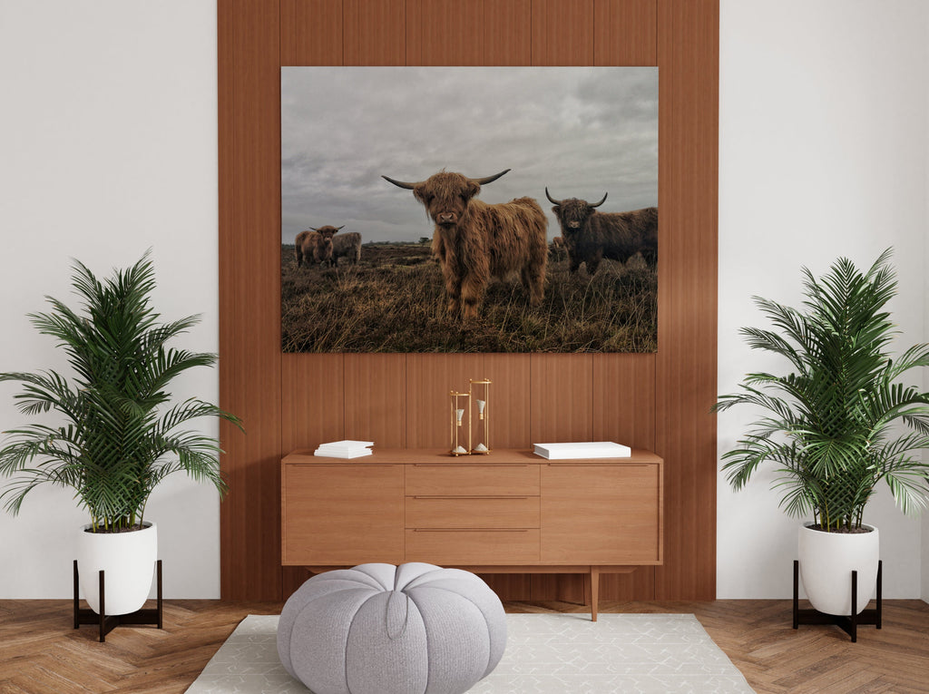 Highland Cows Canvas Wall Art Print | Canvas wall art print by Wall Nostalgia. Custom Canvas Prints, Made in Calgary, Canada | Large canvas prints, framed canvas prints, Highland Cow Canvas Art Print | Highland Cow Prints, Highland Cattle Canvas, Highland Cattle Print, Highland Cow Art Print, Highland Cow Canvas Art