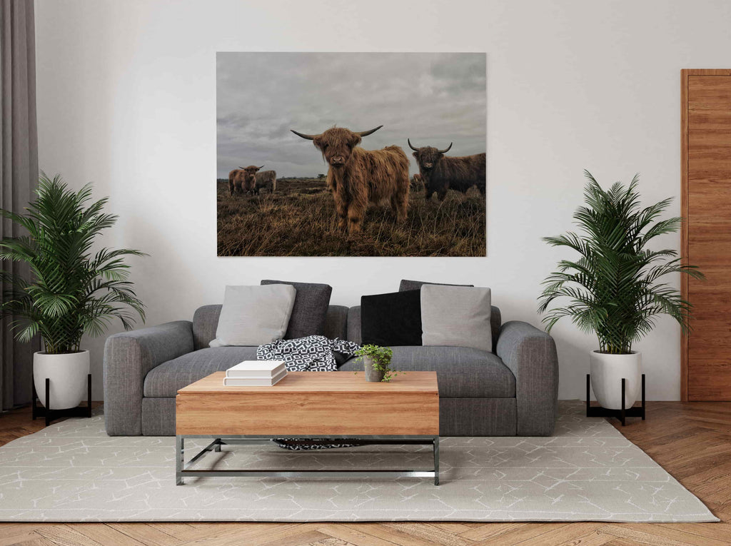 Highland Cows Canvas Wall Art Print | Canvas wall art print by Wall Nostalgia. Custom Canvas Prints, Made in Calgary, Canada | Large canvas prints, framed canvas prints, Highland Cow Canvas Art Print | Highland Cow Prints, Highland Cattle Canvas, Highland Cattle Print, Highland Cow Art Print, Highland Cow Canvas Art