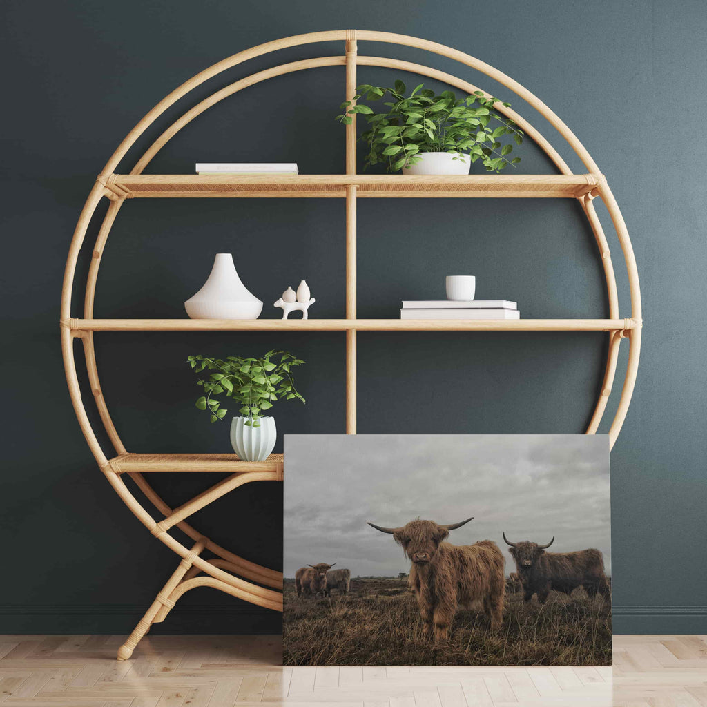 Highland Cows Canvas Wall Art Print | Canvas wall art print by Wall Nostalgia. Custom Canvas Prints, Made in Calgary, Canada | Large canvas prints, framed canvas prints, Highland Cow Canvas Art Print | Highland Cow Prints, Highland Cattle Canvas, Highland Cattle Print, Highland Cow Art Print, Highland Cow Canvas Art