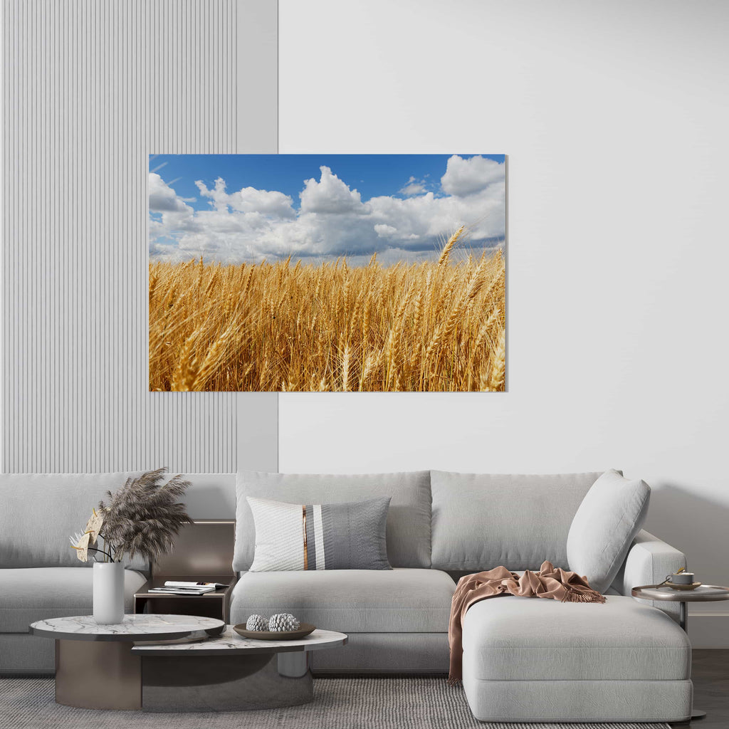 Wheat Field Art Print | Wheat Canvas wall art print by Wall Nostalgia. FREE SHIPPING on all orders. Custom Canvas Prints, Made in Calgary, Canada | Large canvas prints, framed canvas prints, Prairie prints, canvas print, Wheat field print, Canadian prints, Farm prints, Wheat field art print, Wheat field art, Prairies