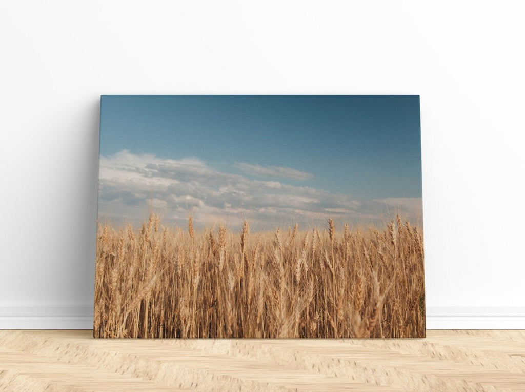 Jennifer Wardle Prairie Wheat Field Canvas Print