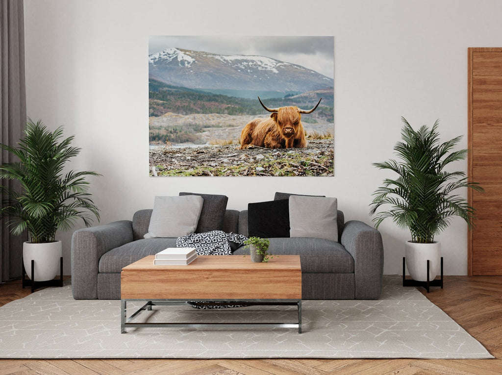 Highland Cow Print | Canvas wall art print by Wall Nostalgia. FREE SHIPPING on all orders. Custom Canvas Prints, Made in Calgary, Canada | Large canvas prints, framed canvas prints, Highland Cow Canvas Print | Canvas wall art, Highland Cattle Art, Highland Cow Canvas, Highland Cow Art Print, Highland Cow Wall Art Print