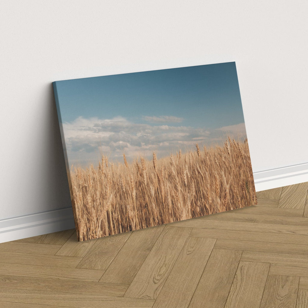 Prairie Wheat Field Print | Canvas wall art print by Wall Nostalgia. FREE SHIPPING on all orders. Custom Canvas Prints, Made in Calgary, Canada | Large canvas prints, framed canvas prints, Wheat field print, Wheat Art, Wheat Field Art, Wheat Print, Wheat Field Wall Art, Prairie print, Prairie art print, Canadian Art