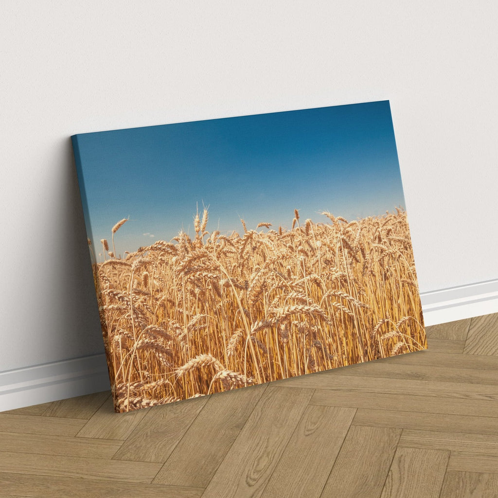 Wheat Field Print | Canvas wall art print by Wall Nostalgia. FREE SHIPPING on all orders. Custom Canvas Prints, Made in Calgary, Canada | Large canvas prints, framed canvas prints, Wheatfield Print | Wheat print, Wheat field canvas, Wheat field print, Prairie wall art, Farm prints, Farm canvas art, Prairie print canvas