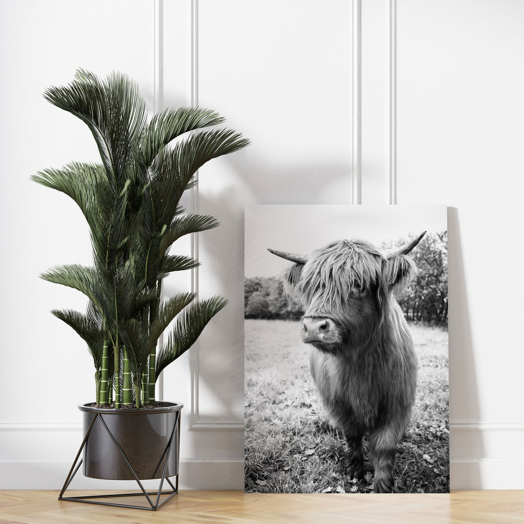 Black and White Highland Cow Canvas Wall Art Print | Canvas wall art print by Wall Nostalgia. FREE SHIPPING on all orders. Custom canvas art prints, Made in Calgary, Canada | Large canvas prints, framed canvas prints, Highland Cow Canvas, Highland Cattle Print, Highland Cattle Prints, Highland Cattle Art, Highland cow