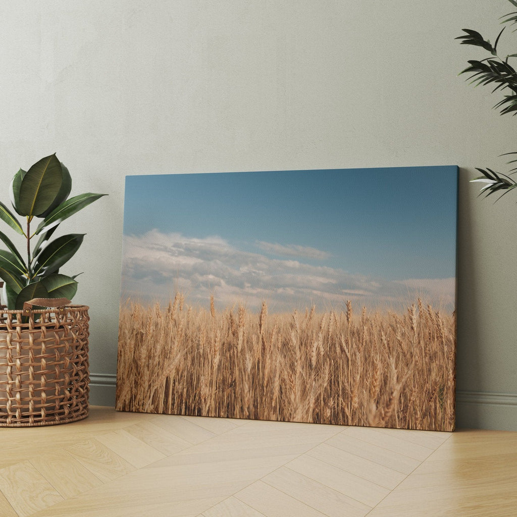 Prairie Wheat Field Print | Canvas wall art print by Wall Nostalgia. FREE SHIPPING on all orders. Custom Canvas Prints, Made in Calgary, Canada | Large canvas prints, framed canvas prints, Wheat field print, Wheat Art, Wheat Field Art, Wheat Print, Wheat Field Wall Art, Prairie print, Prairie art print, Canadian Art