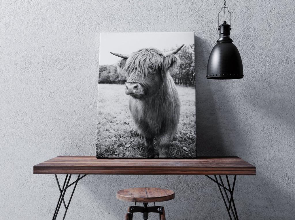 Black and White Highland Cow Canvas Wall Art Print | Canvas wall art print by Wall Nostalgia. FREE SHIPPING on all orders. Custom canvas art prints, Made in Calgary, Canada | Large canvas prints, framed canvas prints, Highland Cow Canvas, Highland Cattle Print, Highland Cattle Prints, Highland Cattle Art, Highland cow