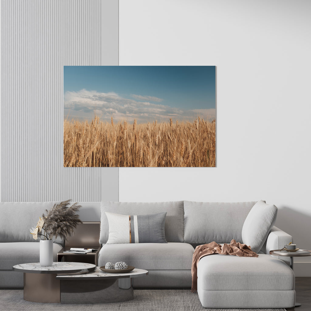 Prairie Wheat Field Print | Canvas wall art print by Wall Nostalgia. FREE SHIPPING on all orders. Custom Canvas Prints, Made in Calgary, Canada | Large canvas prints, framed canvas prints, Wheat field print, Wheat Art, Wheat Field Art, Wheat Print, Wheat Field Wall Art, Prairie print, Prairie art print, Canadian Art