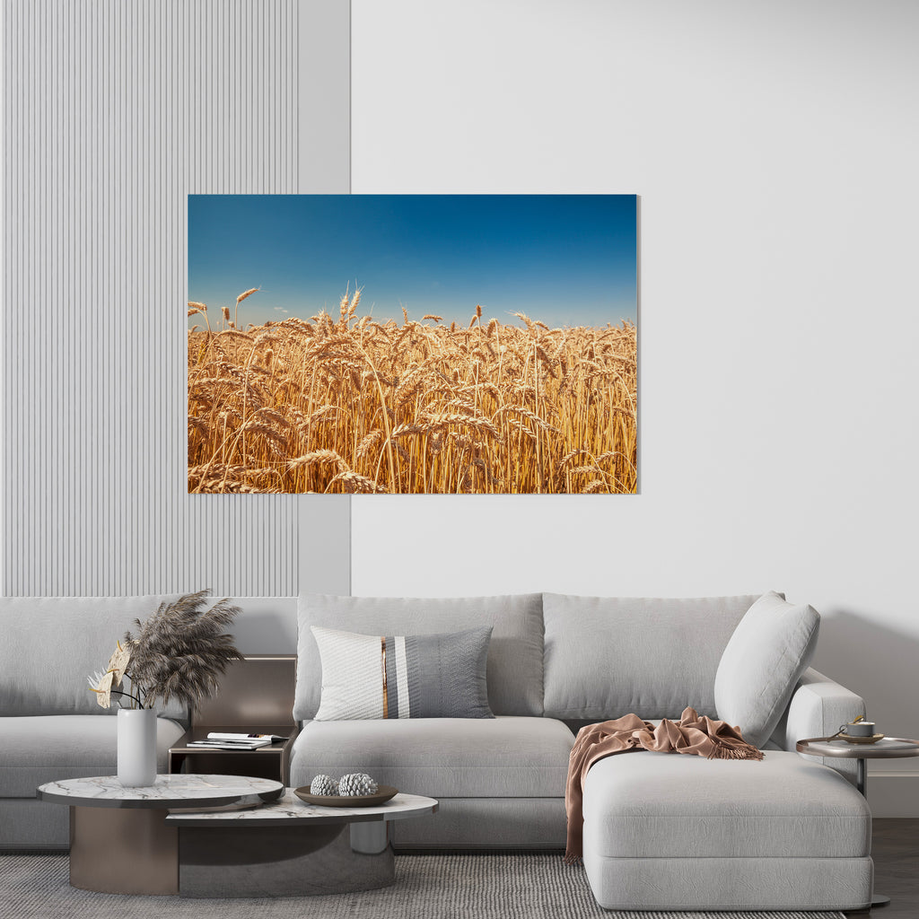 Wheat Field Print | Canvas wall art print by Wall Nostalgia. FREE SHIPPING on all orders. Custom Canvas Prints, Made in Calgary, Canada | Large canvas prints, framed canvas prints, Wheatfield Print | Wheat print, Wheat field canvas, Wheat field print, Prairie wall art, Farm prints, Farm canvas art, Prairie print canvas